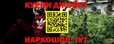 индика Будённовск
