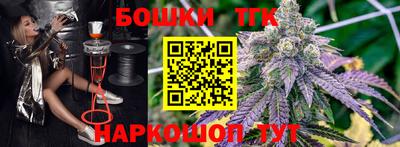 индика Будённовск