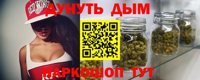 индика Будённовск