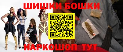 индика Будённовск