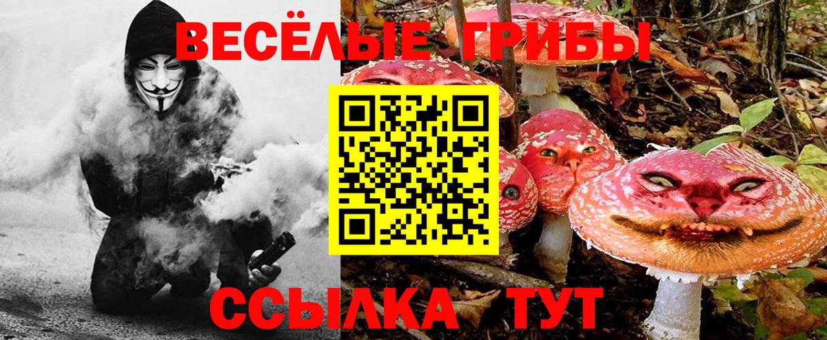 Псилоцибиновые грибы MAGIC MUSHROOMS  Галлюциногенные грибы прущие грибы  Лосино-Петровский  где можно купить наркотик  Вход с VPN 