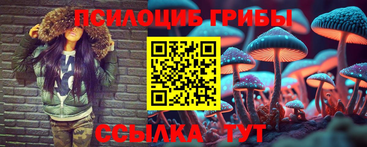 Псилоцибиновые грибы MAGIC MUSHROOMS Лосино-Петровский